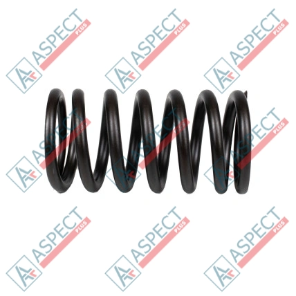 Ressort du rotor Bosch Rexroth R910720178 SKS