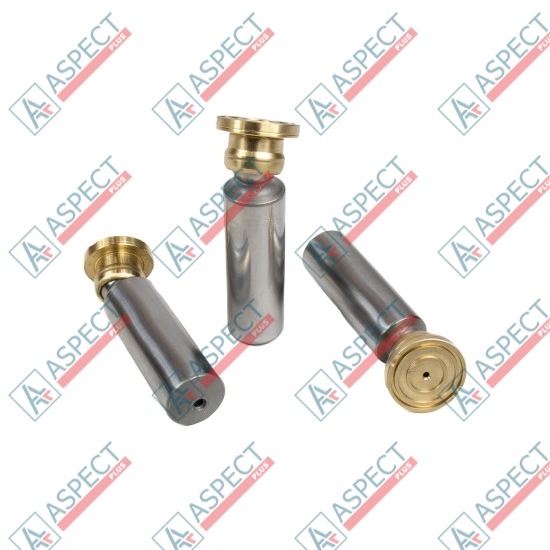 Плунжер с подпятником Bosch Rexroth R902064146 SKS
