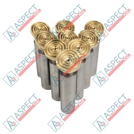 Плунжер з підп'ятником Bosch Rexroth R902118914 SKS