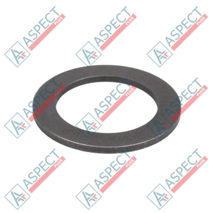 Rondelle Bosch Rexroth R902105941 SKS