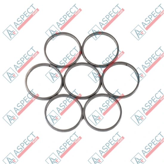 Piston Ring Bosch Rexroth R909831895 SKS