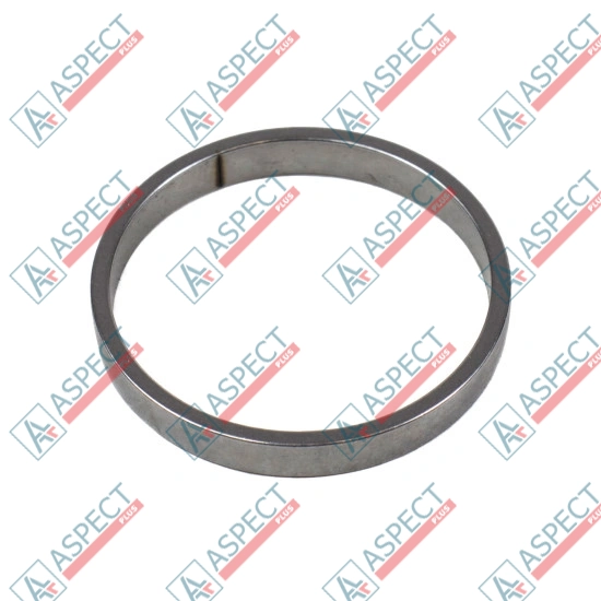 Piston Ring Bosch Rexroth R909831895 SKS