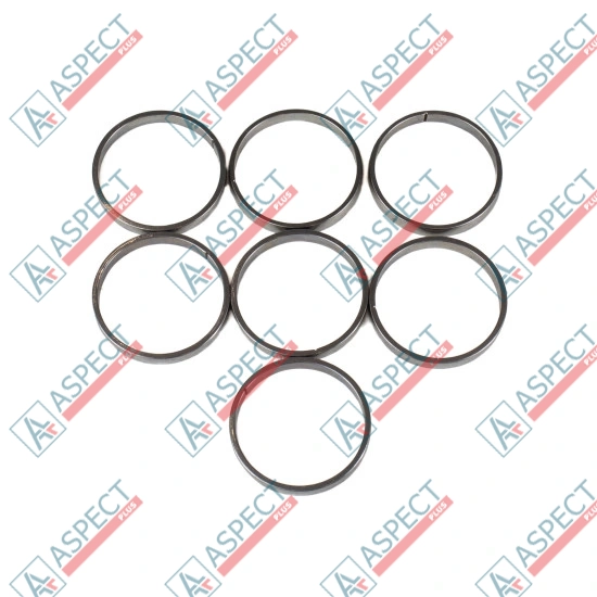 Piston Ring Bosch Rexroth R909831898 SKS