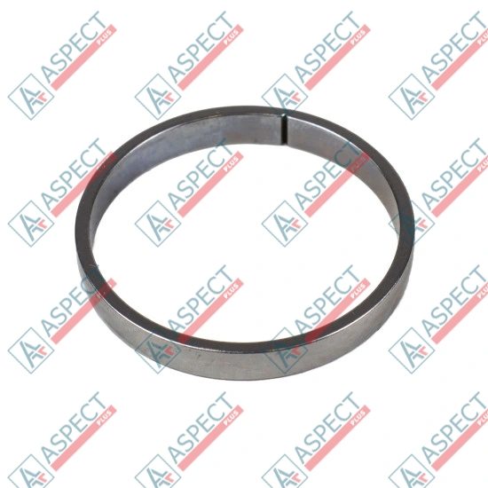 Piston Ring Bosch Rexroth R909831898 SKS