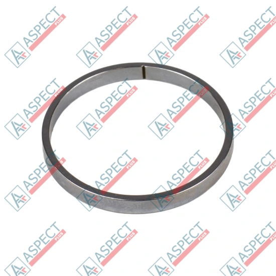Piston Ring Bosch Rexroth R902422202 SKS