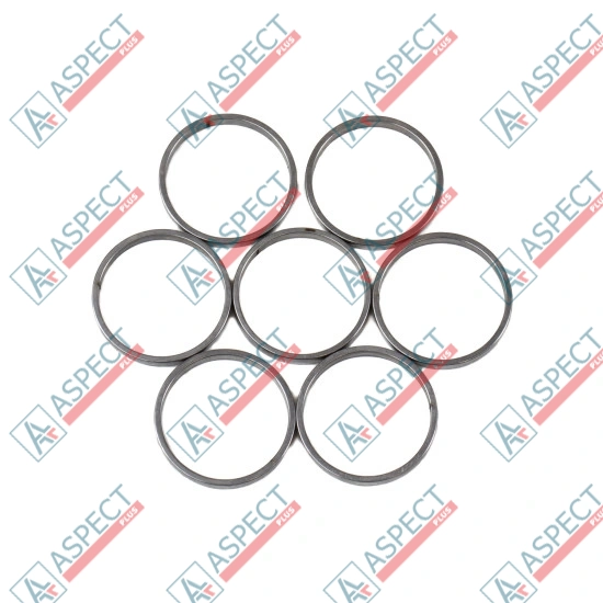Piston Ring Bosch Rexroth R909831890 SKS