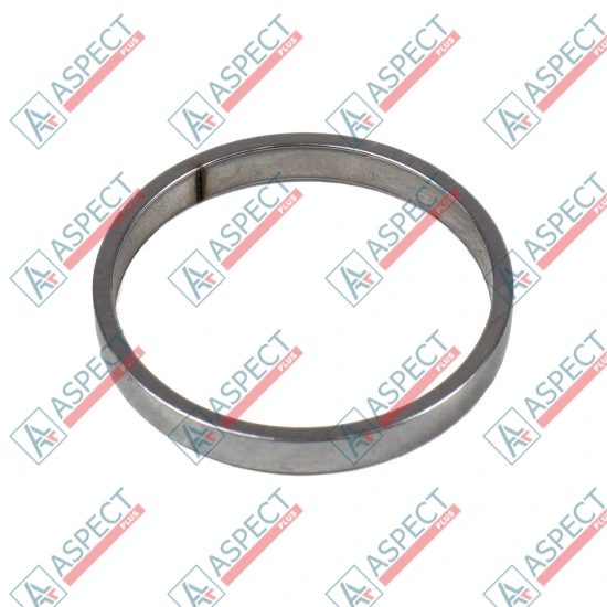 Piston Ring Bosch Rexroth R909831890 SKS