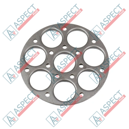 Plaque de maintien Bosch Rexroth R902072551 SKS