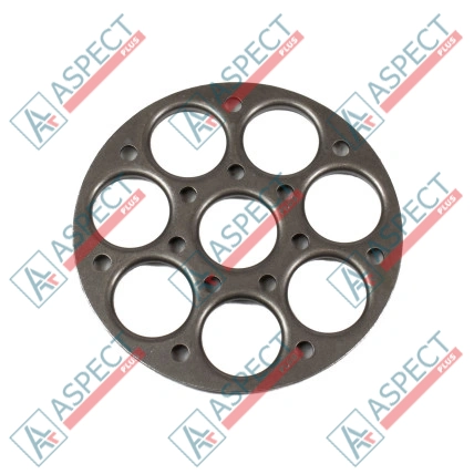 Plaque de maintien Bosch Rexroth R902072552 SKS