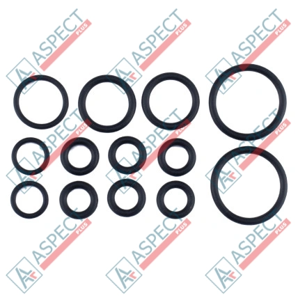 Dichtsatz Pumpe seal D=62.0 mm Bosch Rexroth A8VO107 SKS