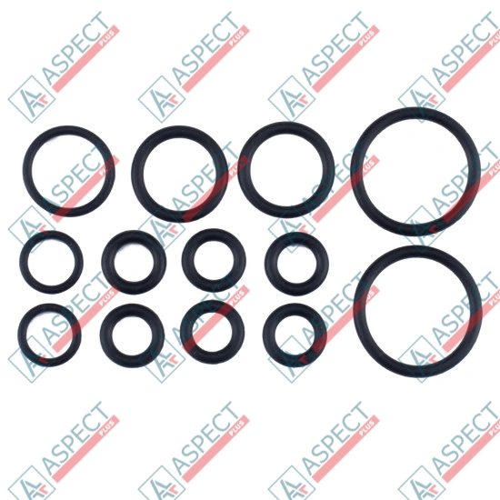 Seal kit pump seal D=62.0 mm Bosch Rexroth A8VO107 SKS