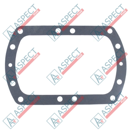 Dichtsatz Pumpe seal D=62.0 mm Bosch Rexroth A8VO107 SKS