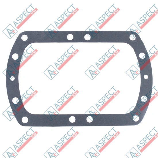 Seal kit pump seal D=62.0 mm Bosch Rexroth A8VO107 SKS