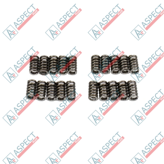 Spring of Ball guide Bosch Rexroth R902400547 SKS