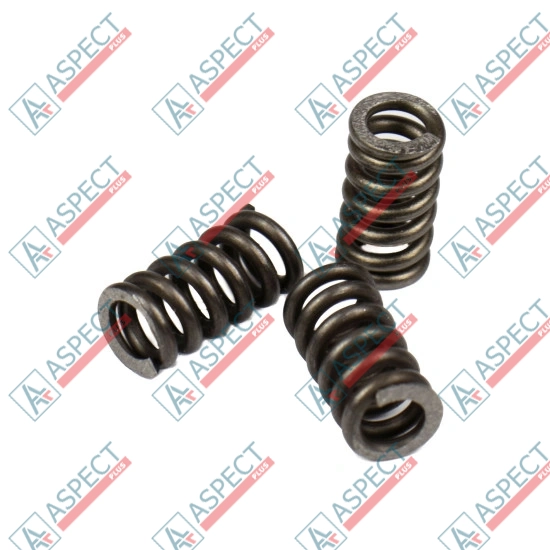Spring of Ball guide Bosch Rexroth R902400547 SKS
